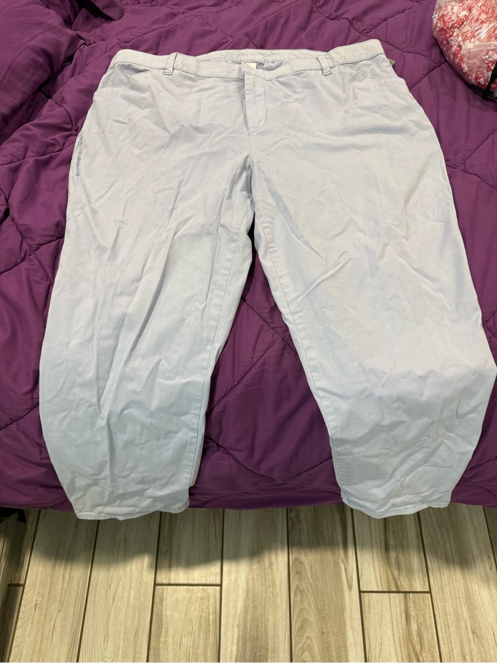 Women’s Size 20W Light Blue Casual Pants
